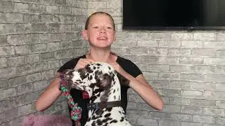Распаковка конных бридж