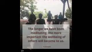 The wellbeing of others