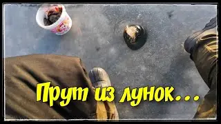 ОКУНИ ЛЕЗУТ ОДИН ЗА ДРУГИМ! Щука на жерлицы. СУПЕР зимняя рыбалка 2023-2024. Vlad TV.