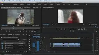 Move Clip