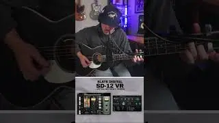 1 Microphone with Dozens of Legendary Mic Sounds