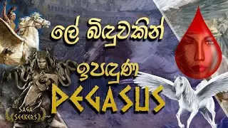 Pegasus ගැන | Saga Seekers