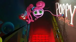 ̶S̶Q̶U̶I̶D̶ POPPY GAMES‼️ - part 1/2