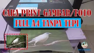 HOW TO PRINT A FULL A4 IMAGE OR PHOTO WITHOUT BORDERS