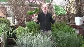 Online floral classes with Michael Gaffney farm-to-table