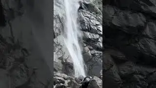 Миша, Люба скальпеля муж.