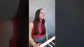 Жуки 