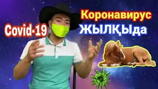 Коронавирус жылқыға жұқты ма? Қырғызстандағы  жылқылар не болды?