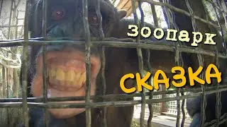 Зоопарк 