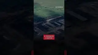 Вологжане лишились дороги из-за коровника друга ФСБ