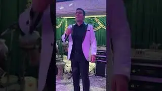 SATRAMJAM | PUSHTAKI DAR BIDIR BIDIR #musica #music #svadbauz #live #svadba #rek #uzbwedding #love