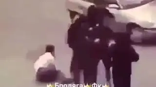 Talpa urish талта жанг