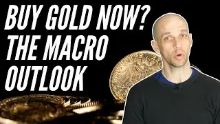 Should You Buy Gold Now in 2020? The Macro Price Outlook
