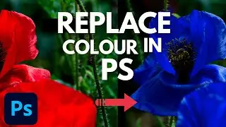 How to Replace Colour with Photoshop