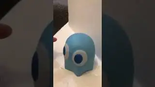 Wrdpets!!!!