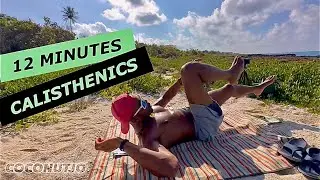 LOW IMPACT | HIIT | Upper Body & CORE
