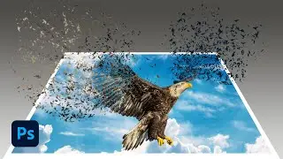 Çerçeve içinde Dağılma Efektli 3D Fotoğraf Çalışması, 3d Dağılma Efekt Uygulaması