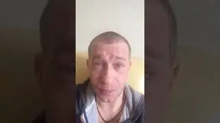 выборы