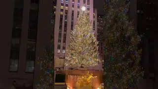 Christmas Tree NYC 🎁