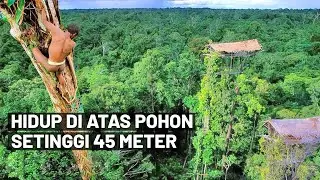 Suku Korowai: Hidup di atas pohon setinggi 45 meter