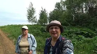 В лес 2 июня 2023 1часть.
