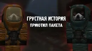 Грустная история. Приютил пакета. [STALCRAFT]