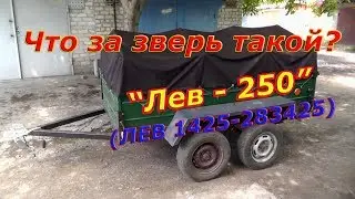Прицеп легковой Лев-250. Предыдущий был получше... :(