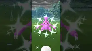 SHINY MEGA HERACROSS!! #pokemongo #pokémon #pokemon #shorts