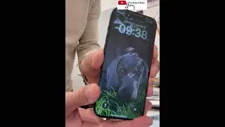 Applicare pellicola privacy iPhone 15 pro