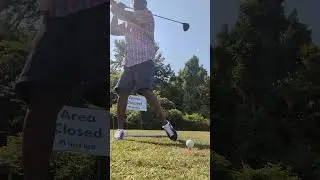 JUST STAYING OUT THE WAY .. MINDING MY BUSINESS .. FAIRWAY FRIDAY #golf #golfswing #SUNNYWINTERS