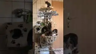 Wir danken für diese tolle Spende