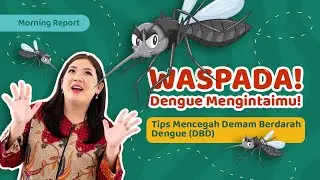 Waspada Dengue Mengintaimu! Ini Tips Untuk Cegah dari Deman Berdarah Dengue (DBD)! - MORNING REPORT
