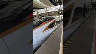 China Bullet Train 349km/h #china #bullettrains #train #shorts
