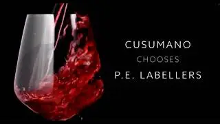 P.E. solutions per Cusumano