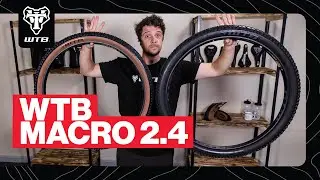 WTB Macro Mountain Bike Tire Overview 