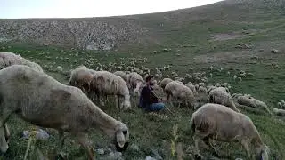 YÜCE DAĞ BAŞINDA YAĞAN KAR İDİM __ Tarık Kara (Bozkırın Avazı)