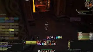 WoW Classic Raiding