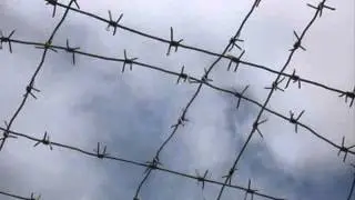 братва на воле