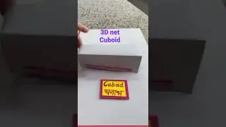 3D net… cuboid