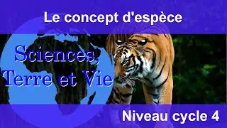 Le concept d'espèce