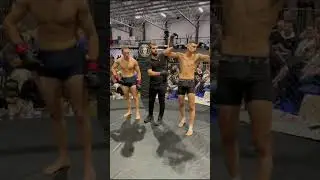 Wollongong Wars MMA