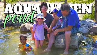 How We Built our Dream Pond at Aqua Haven