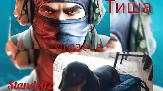 Привет Тиша играет в standoff2 или SO2 заходите интересно