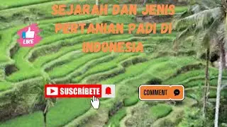 fakta menarik sejarah dan jenis pertanian padi di indonesia #pertanianpadi #fypシ゚viral #sejarah