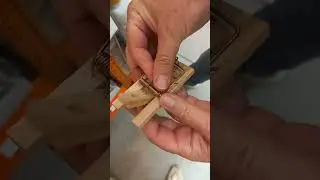 Проскочить не получится 😂.#мышеловка