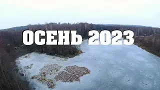 Осень 2023. Ноябрь.