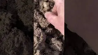 160 years in the ground! 