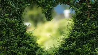 Kind Heart | Music for YouTube without Copyright