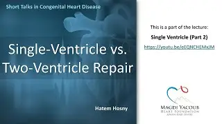 Single-Ventricle vs. Two-Ventricle Repair - Hatem Hosny