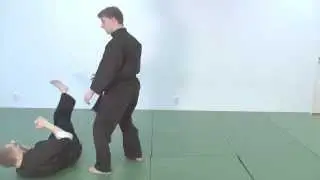 Red belt - Chi Gerk basic principles